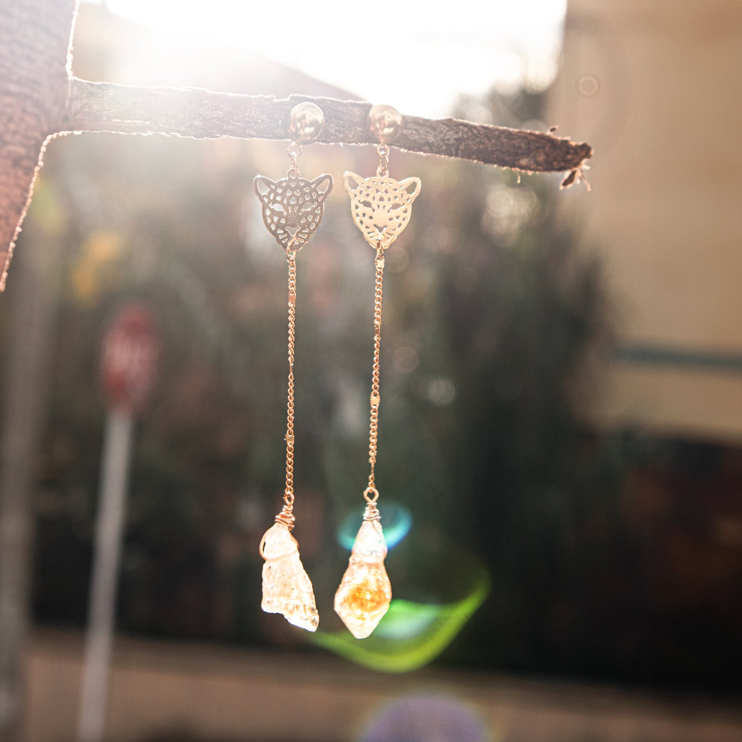 Aretes selvaggia