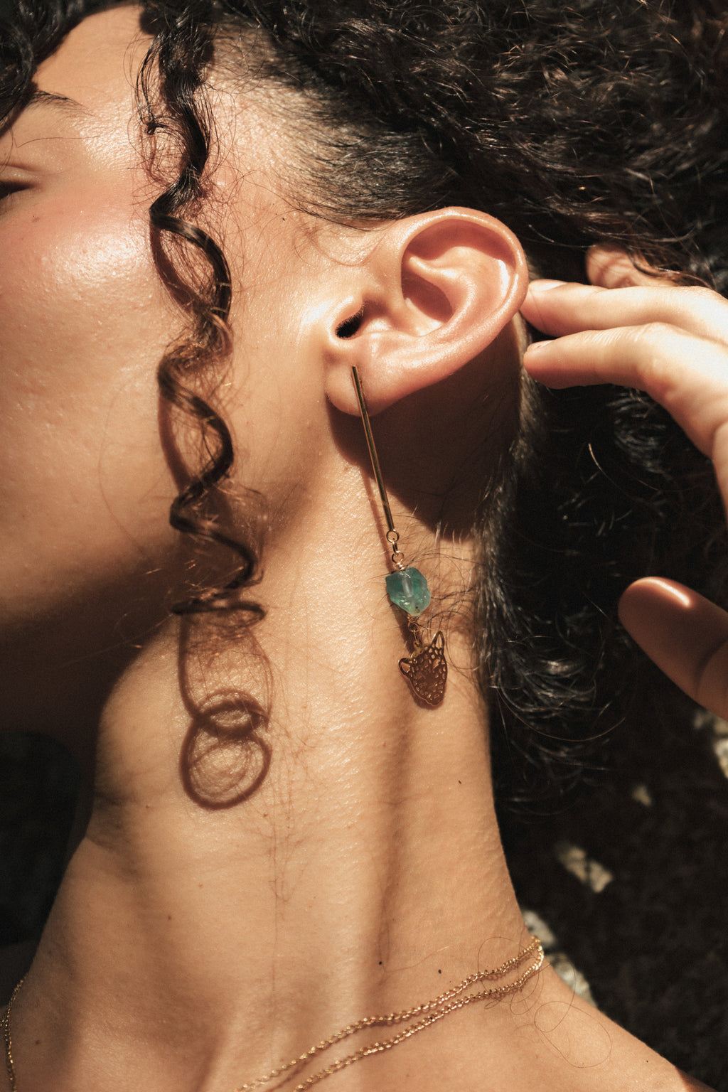 Aretes espíritu del jaguar